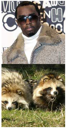 Fab Flash:  The Truth Behind Faux Fur